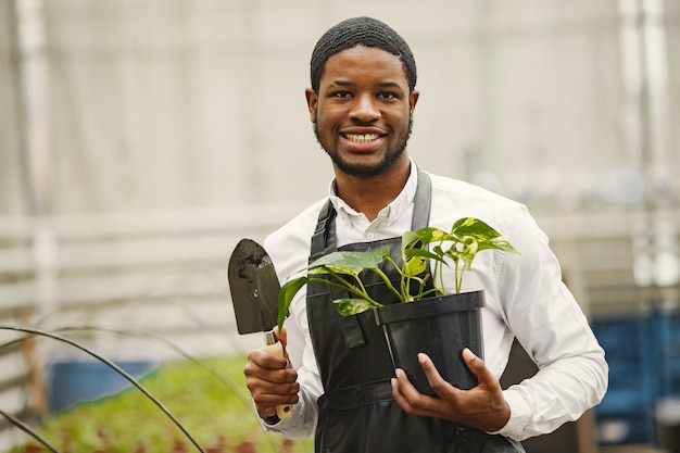 エプロンの庭師。温室のアフリカ人。鉢植えの花。