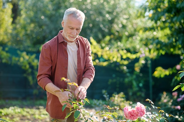 Садовник. Мужчина выглядит занятым во время работы в саду