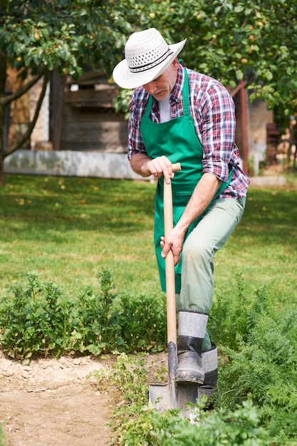 Gardener take care about garden in spring