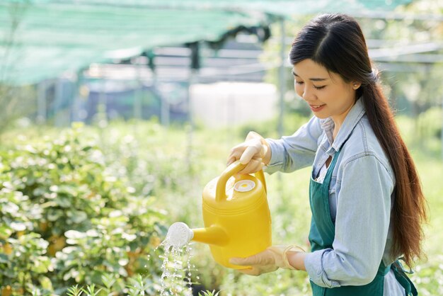 Gardener watering plants