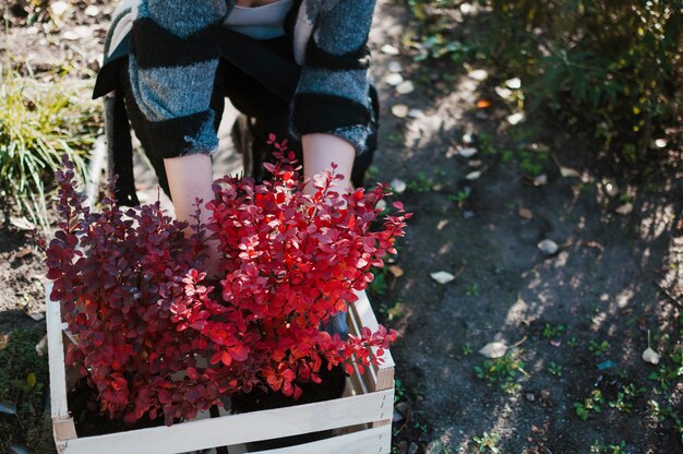 Free photo gardener with box