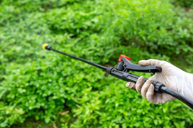 Gardeners are spraying.