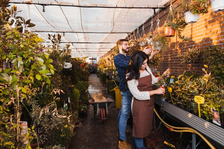 The Allure of Greenhouse Gardening: Cultivating Your Own Oasis