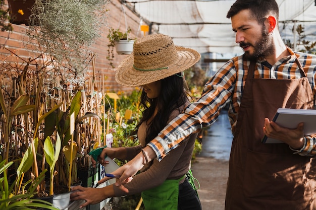 Free photo gardeners spraying plants