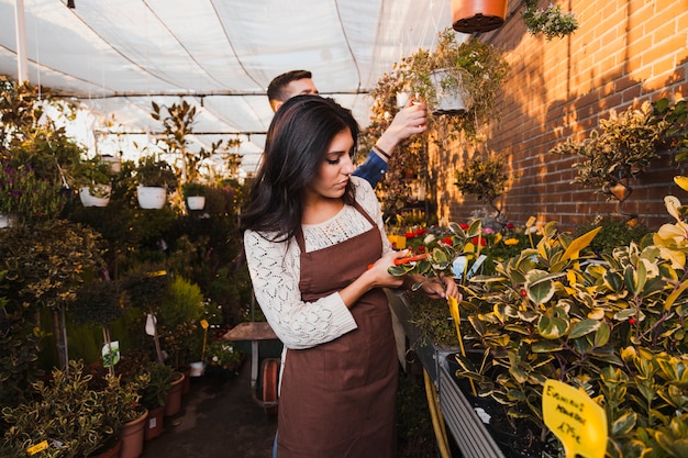 Free photo gardeners taking care of flowers