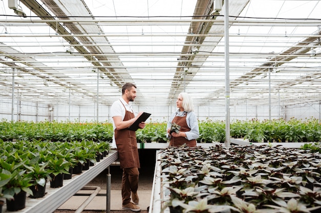 温室の植物について話している庭師