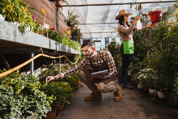 Gardeners working in greenhouse