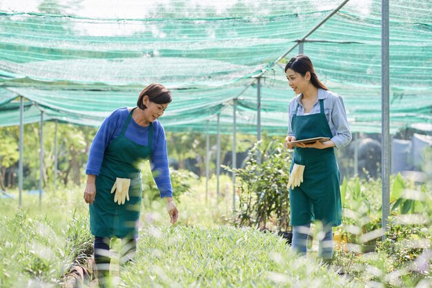 gardeners working in team