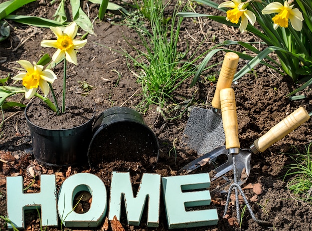 Foto gratuita giardinaggio, bellissimi fiori primaverili con forniture da giardino