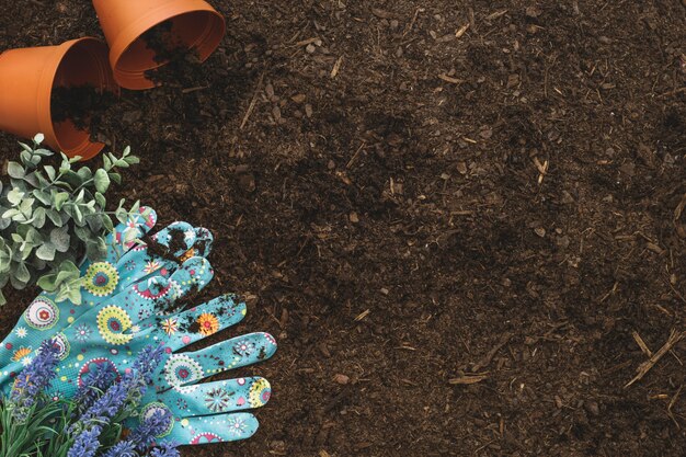 Free photo gardening composition with gloves and space on right