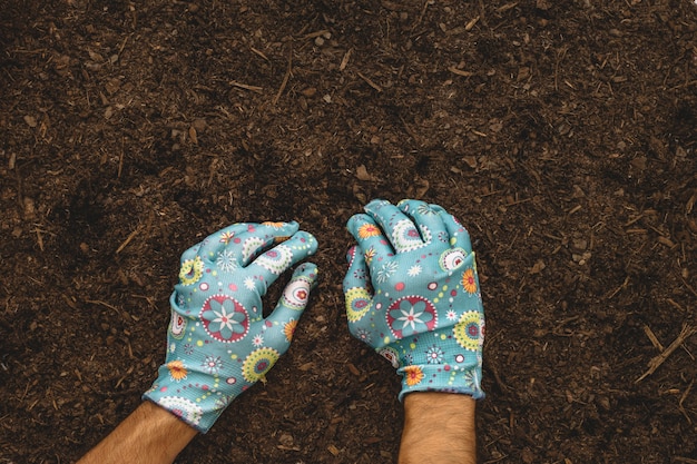 Composizione di giardinaggio con piantagioni di mani