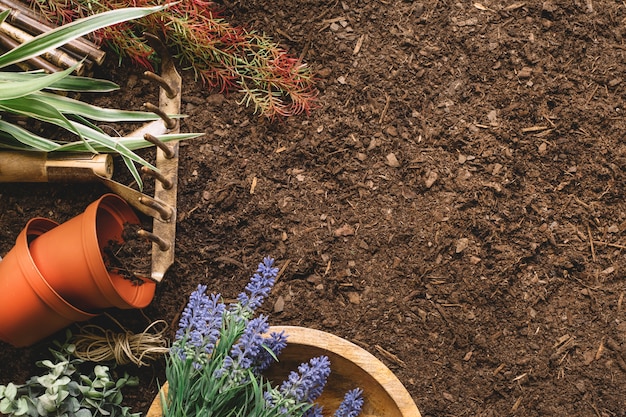 Foto gratuita composizione di giardinaggio con piante e spazio