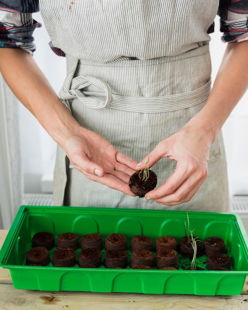 Free photo gardening concept with female hands