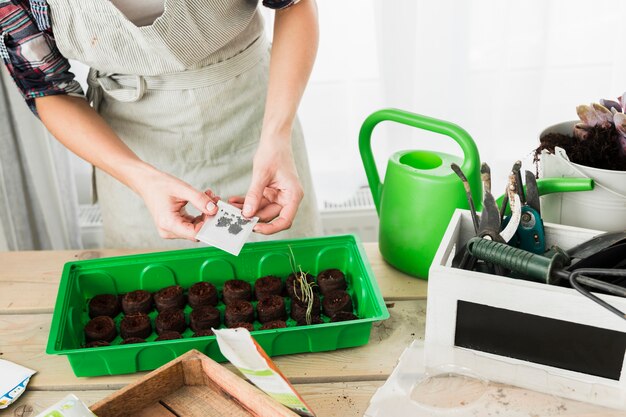 Gardening concept with female hands