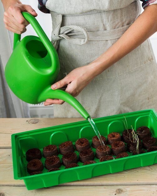 Gardening concept with female hands