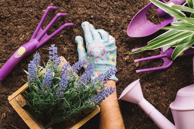 Gardening concept with gardening tools and arm