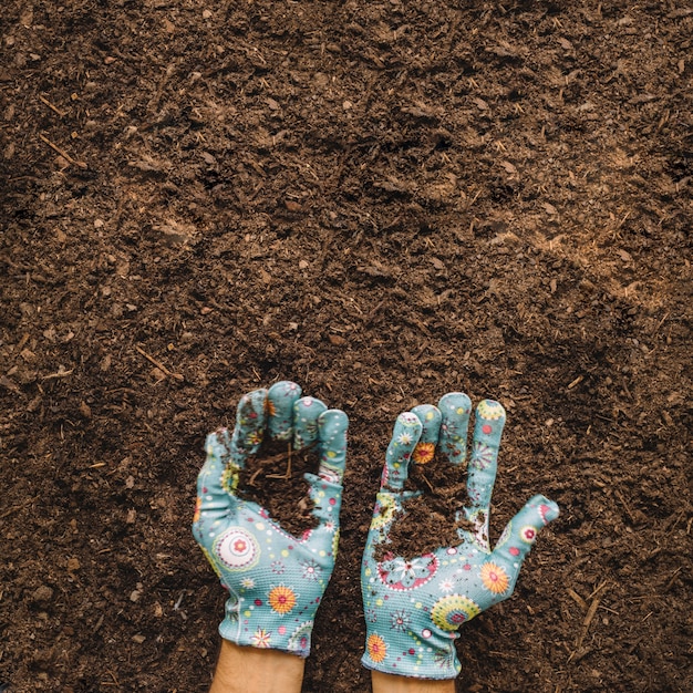 Gardening concept with hands holding soil