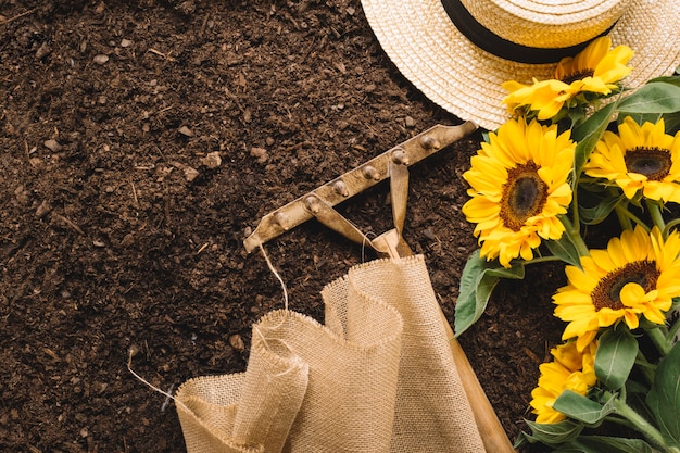 Gardening concept with rake and sunflowers