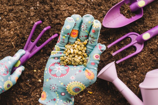 Gardening concept with seeds in hand