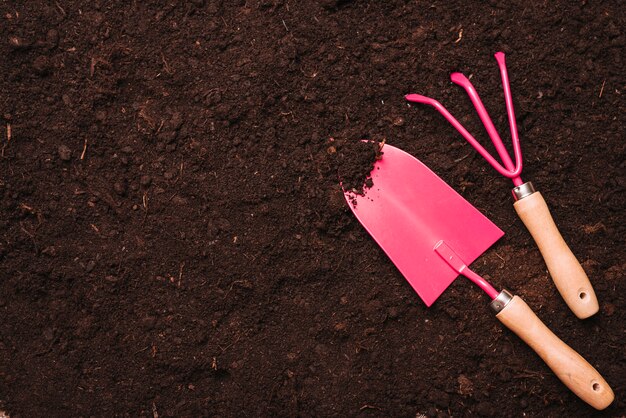 Gardening concept with shovel and rake on soil