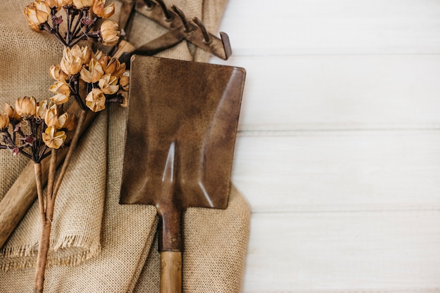 Free photo gardening concept with shovel and rake