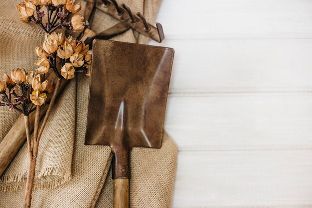 Gardening concept with shovel and rake