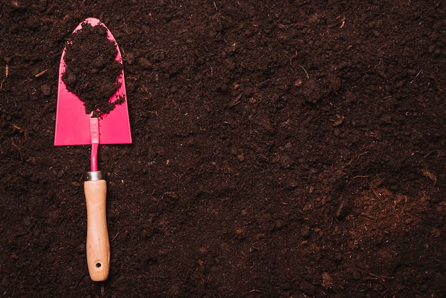 Gardening concept with shovel on soil