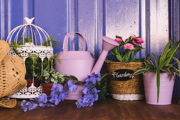 Gardening concept with watering can and many flowers