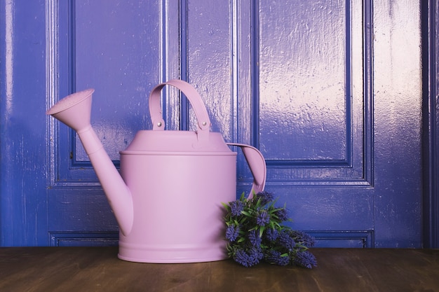 Gardening concept with watering can