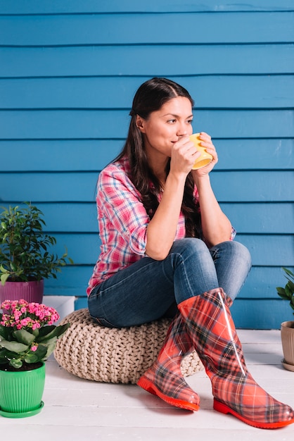 Foto gratuita concetto di giardinaggio con donna