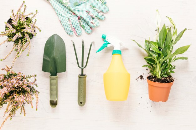 Gardening equipments and glove with potted plants arranged on white table