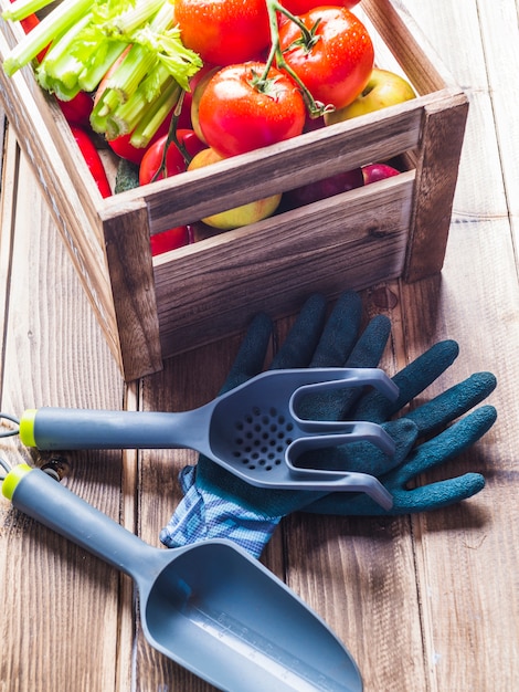 Gardening equipments, gloves and vegetable crate on table