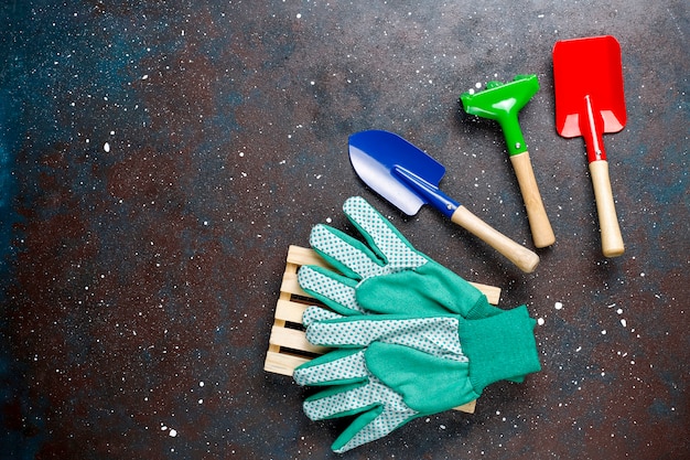 Gardening tools on dark table with house plant and gloves