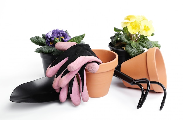 Gardening tools and flower pot isolated