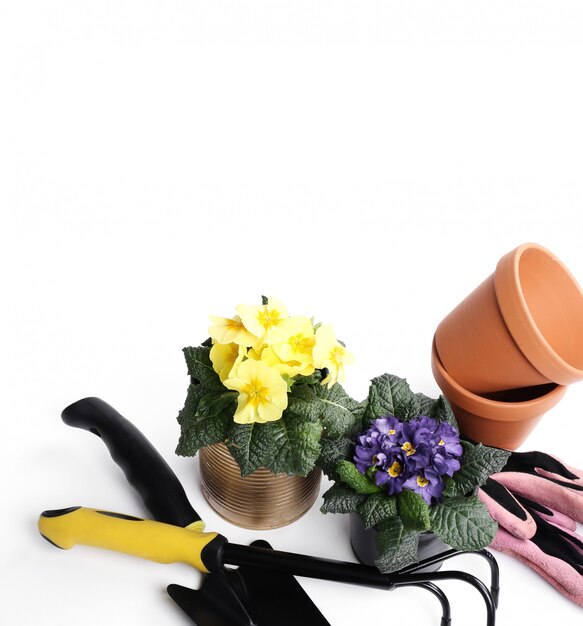 Gardening tools and flower pot isolated