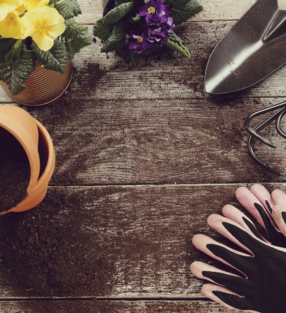 Gardening tools and flower pot on wooden background