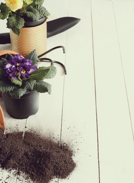 Gardening tools and flower pot on wooden table