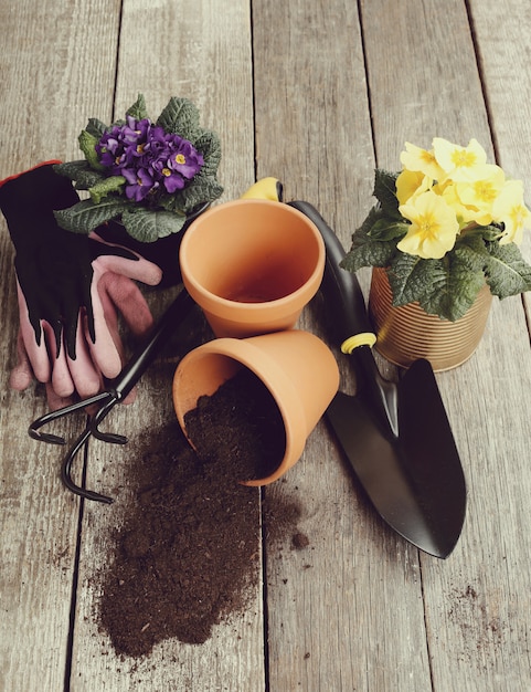 Gardening tools and flower pot on wooden table