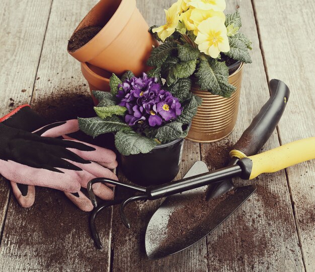 Gardening tools and flower pot on wooden table