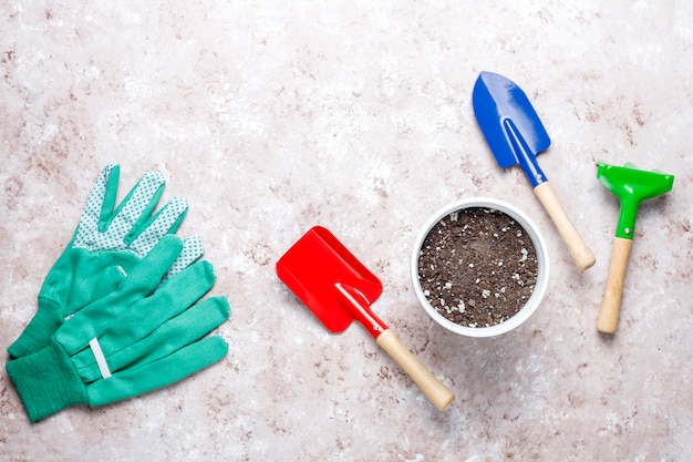 Gardening tools on light table with house plant and gloves