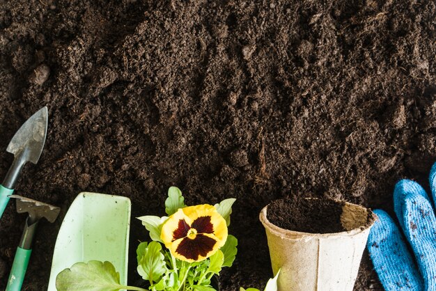 Садовые инструменты; мерный совок; цветочное растение анютины глазки; горшок торфа и садовые синие перчатки на фоне почвы
