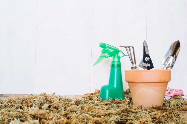 Gardening tools in pot near spray bottle