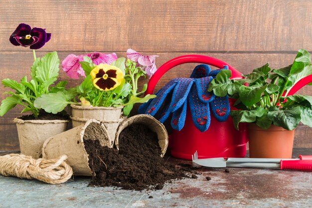 Gardening tools; rope; watering can; gloves on concrete backdrop against wooden wall