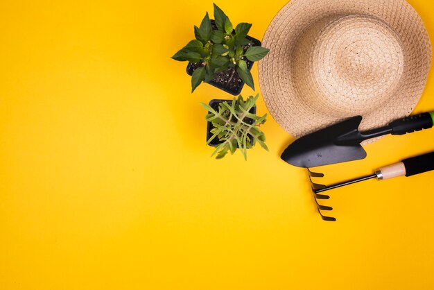 Gardening tools with straw hat and copy space