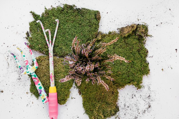 Gardening tools with turf over white backdrop