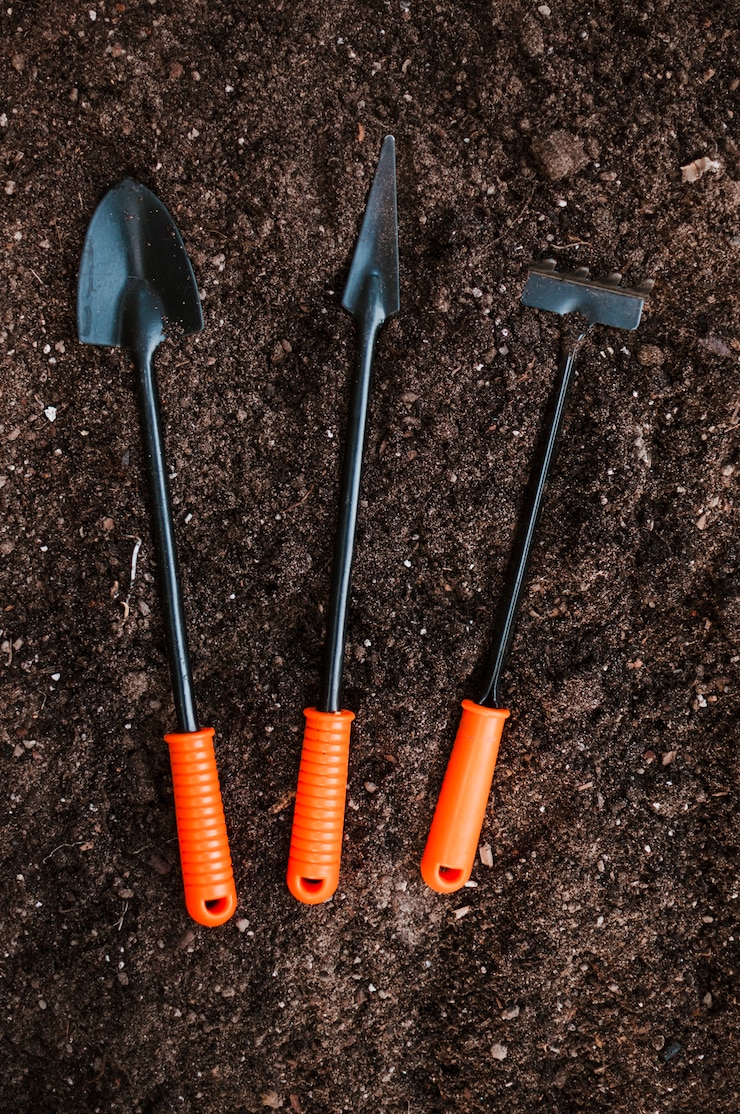 Free Photo gardening tools