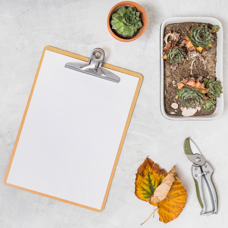 Free Photo gardening
