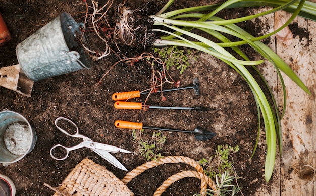 Gardening