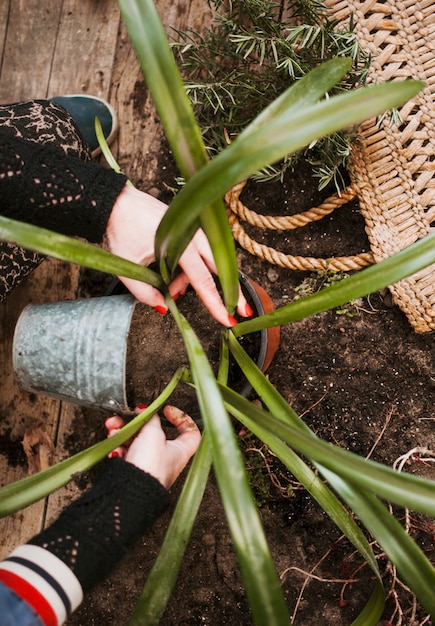 Gardening