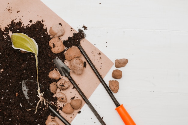 Foto gratuita giardinaggio